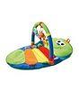 Wiggles Worm Travel Gym