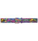 Rainbow Zebra Print Studded Belt