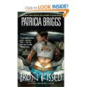 Iron Kissed Iron Kissed