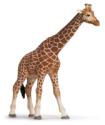 Schleich Female Giraffe Schleich Female Giraffe