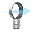 Dyson Air Multiplier Fan (12 inch)