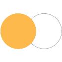 Lastolite 120cm Reflector - Gold/White Lastolite 120cm Reflector - Gold/White