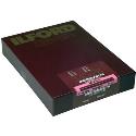 Ilford MGFBWT1K 14x11 inch 10 sheets 1865480