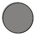 Elinchrom 21cm Polarising Filter